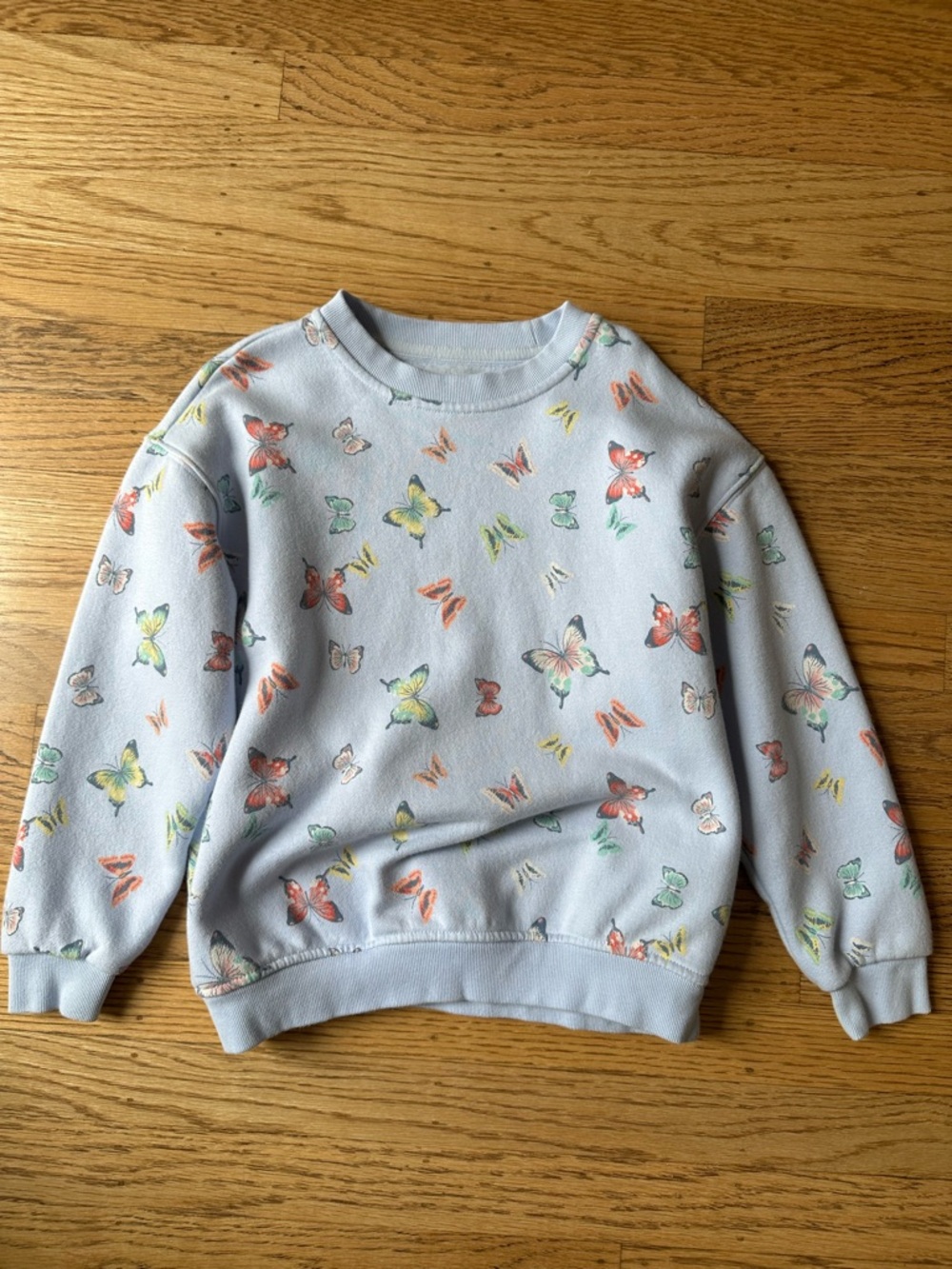 Baby Gap Light Blue Butterfly Crewneck Sweatshirt